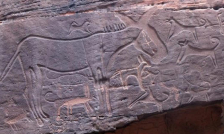 Cães são domesticados há mais de 8 mil anos, revelam artes rupestres