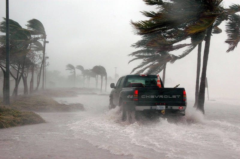 15 mil cientistas assinam alerta de catástrofe natural iminente na Terra
