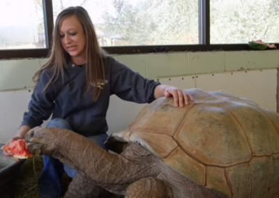 Zoológico com 225 espécies de répteis entra para o Livro dos Recordes