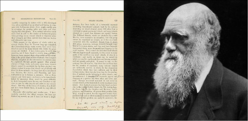 Livro da teoria da evolução e Charles Darwin é leiloado por R$ 3,7 milhões