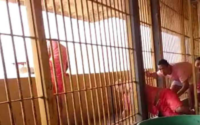 Detento filma fuga de outros presos em cadeia brasileira
