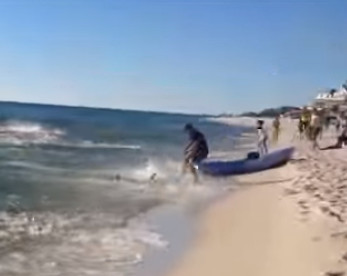 Vídeo mostra mais de 50 tubarões se alimentando perto de areia de praia cheia de banhistas