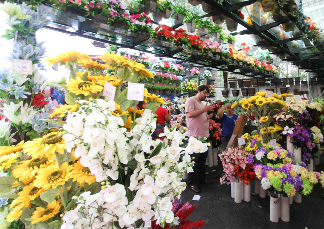 Vida de plástico na mais velha floricultura do Recife