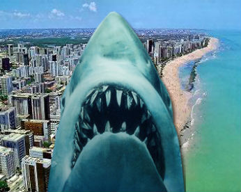 Recife e Steven Spielberg: medo de tubarões, pesquisas judaicas e muito além do cinema