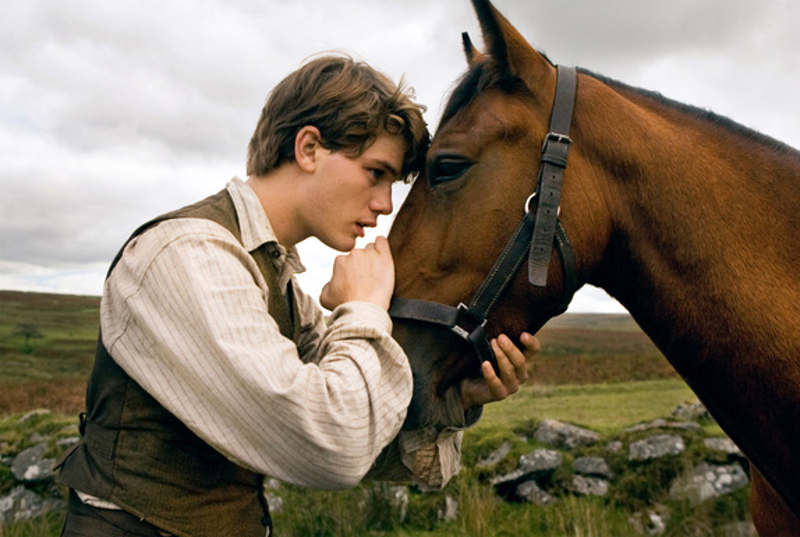Cavalos podem reconhecer expressões humanas, revela estudo