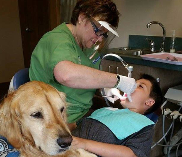 Clínica de odontologia contrata cadela para acalmar crianças, nos EUA