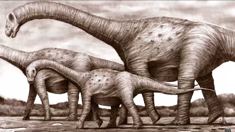 Dinossauro nordestino é identificado por cientistas da UFPE