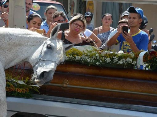 Cavalo emociona ao se despedir de dono em enterro