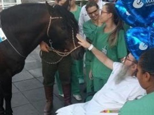 Aposentado recebe alta do hospital após visita do cavalo de estimação