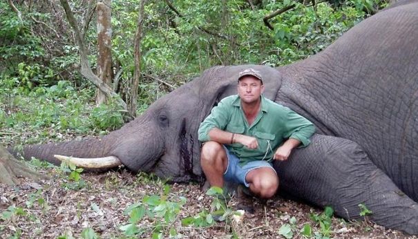 Caçador morre ao ser esmagado por elefante no Zimbábue
