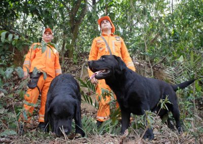 Cachorros e heróis: o cotidiano dos cães de serviço pernambucanos