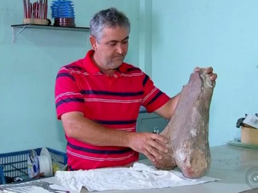 Comerciante brasileiro encontra fóssil de dinossauro no meio de estrada