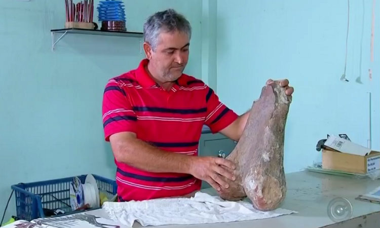 Comerciante brasileiro encontra fóssil de dinossauro no meio de estrada