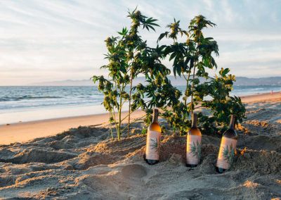 Companhia lança vinho de maconha sem álcool